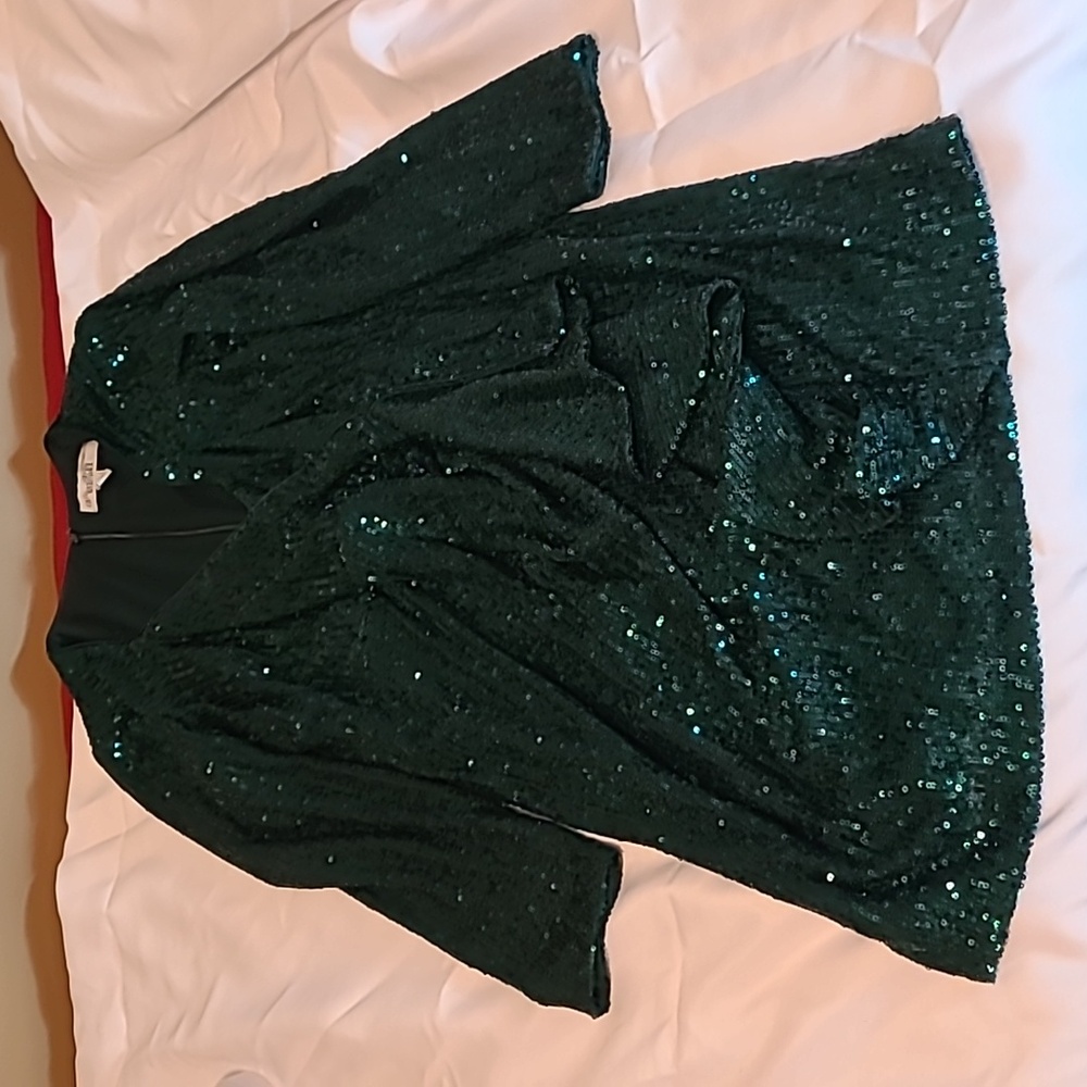 Belle Badgley Mischka emerald sequin dress, size 10 - Picture 1 of 11